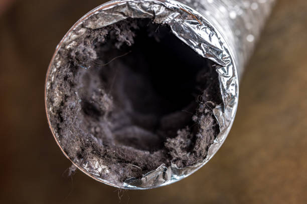 Best Air Duct Mold Removal  in Ellisville, MO