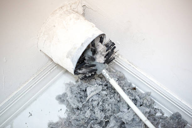 Best Local Air Duct Cleaning Services  in Ellisville, MO