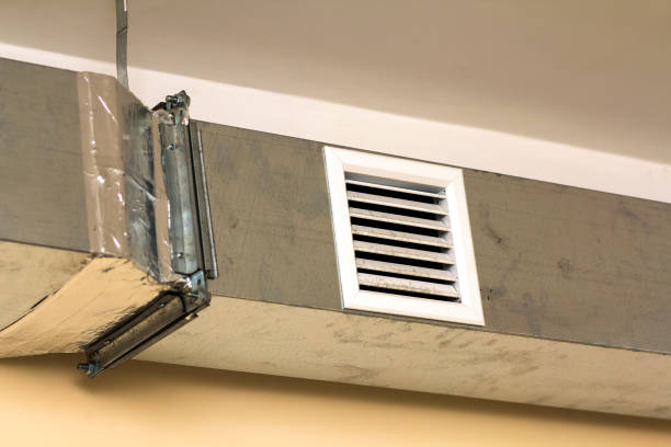 Best Air Duct Sanitizing Services  in Ellisville, MO